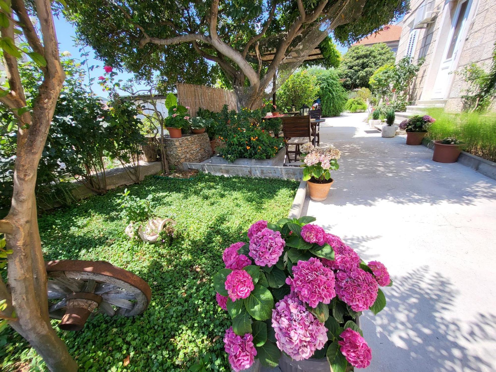 Apartments Miljas Dubrovnik Eksteriør bilde